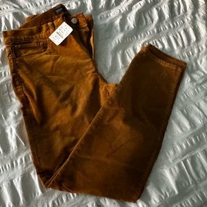 NWT J Crew women’s cord straight pants 28 brown rust